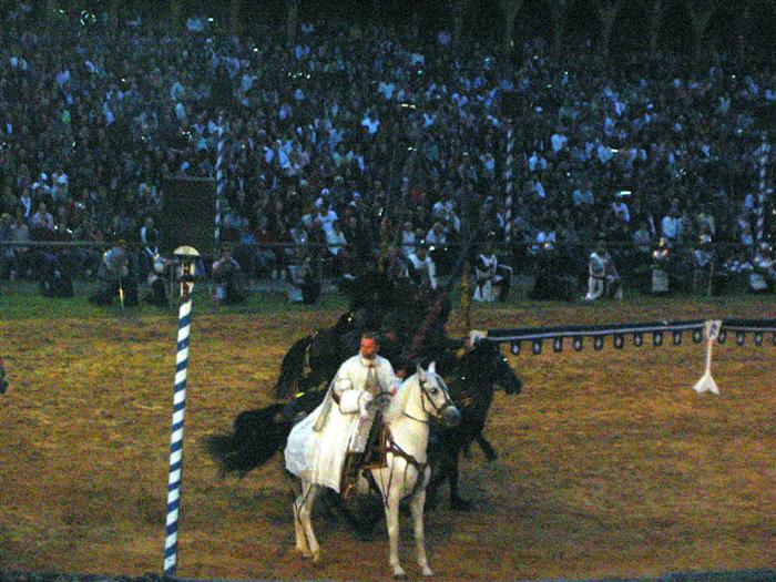 Gip's pics - Joust2