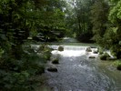 Englischer Garten