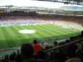 The Ecuador Fans in yellow