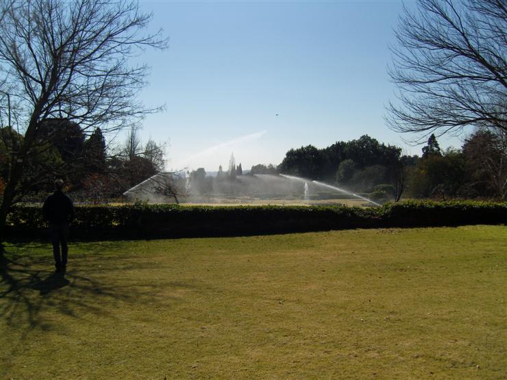 The Rose Garden getting a watering