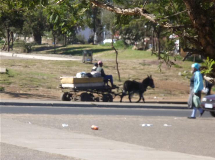 Roving 1's transport after Roving 2 spent all the budget in safari park