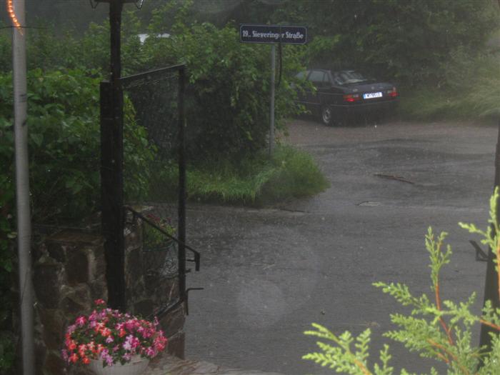 A walk through the Wienerwald and another rainstorm